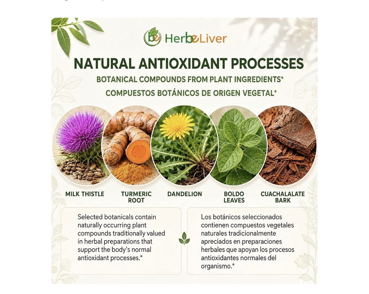 B-Experts HerbeLiver Higassan Te Natural Herbal Infusion 24 Tea Bags