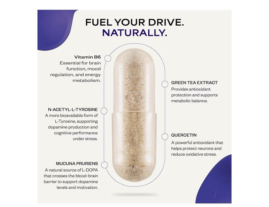 Suppgrade Labs Motivation 101 by Dave Asprey Support Cognitive Health 60 Capsule