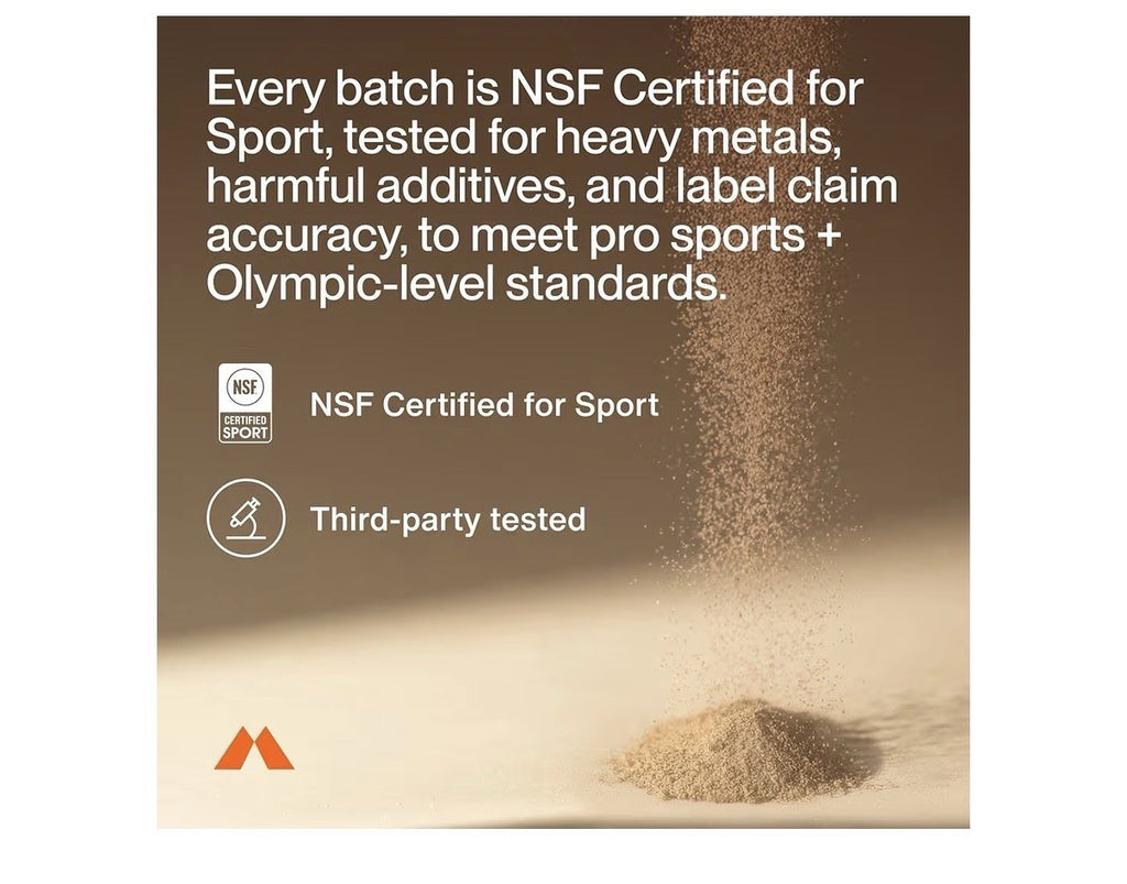 Momentous 100% Plant Protein Foundational & Performance Chocolate Flavor Powder