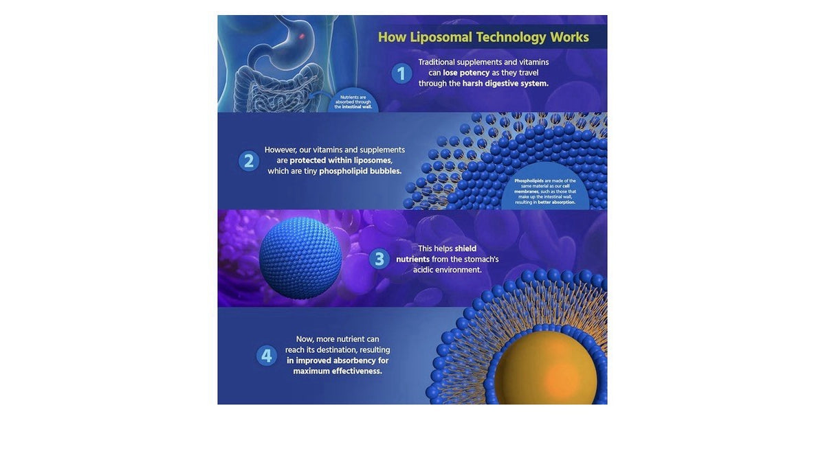 Core Med Science Liposomal Glutathione Supplement Liver Skin Brain Health 60sgel