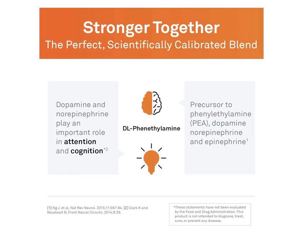 Neuroscience Focus DL Brain Health Memory Focus Mental Clarity 60 Capsules