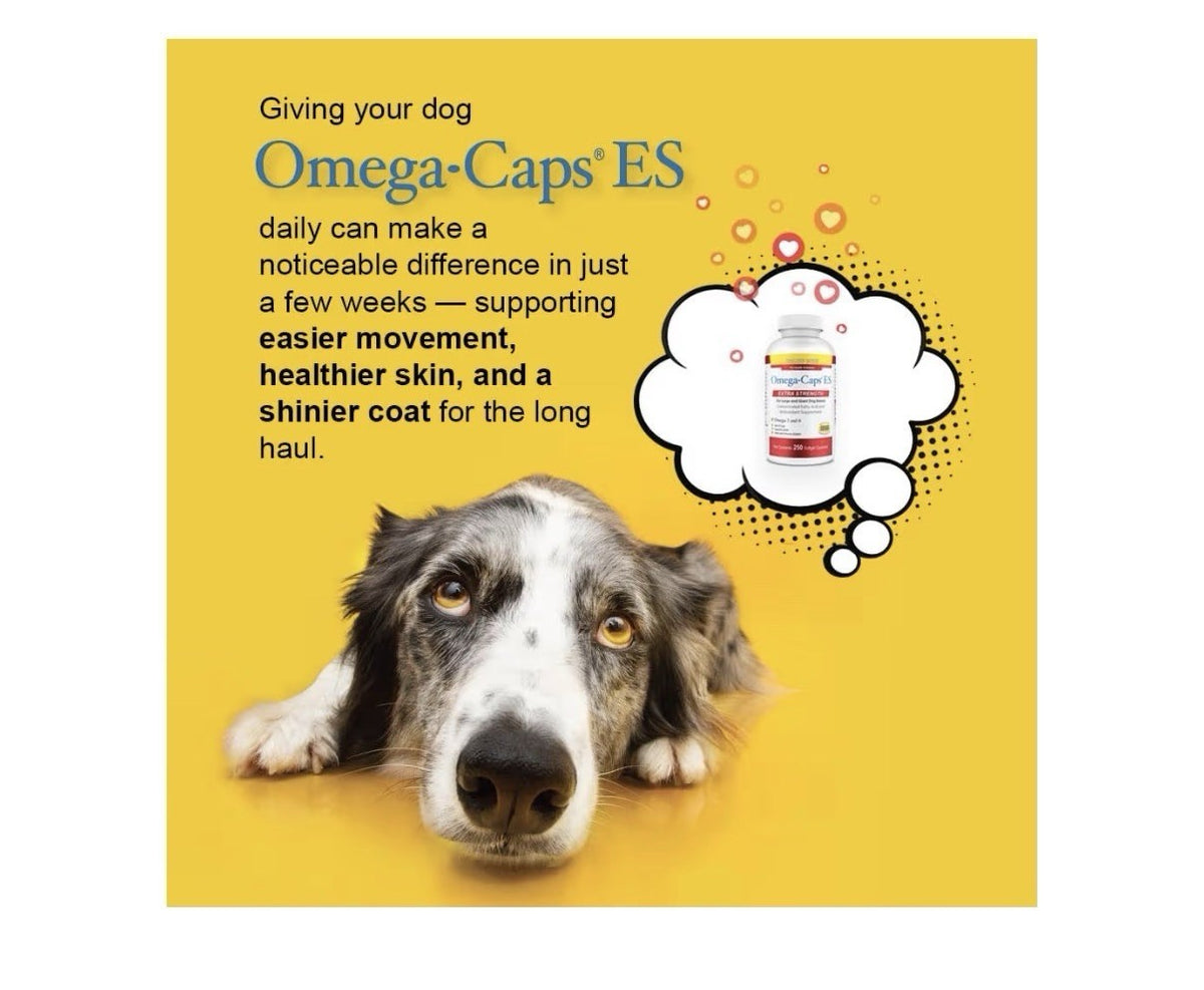 Omega Caps ES Omega-3 & 6 Extra Strength Large and Giant Dogs Breeds 250capsules