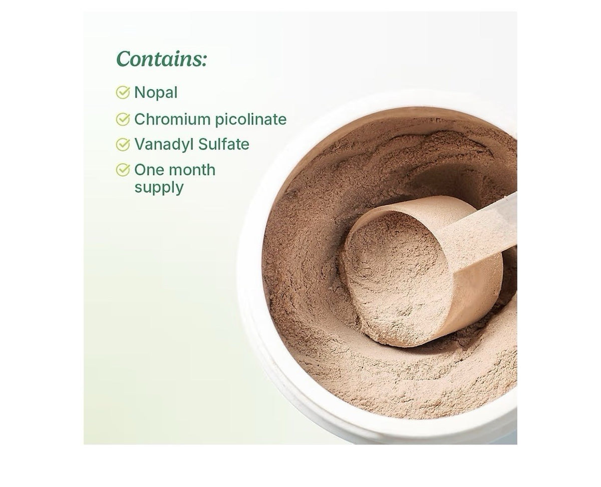 Santo Remedio Super Nopal Powder Blood Sugar Level Support Lime Flavor 30serving