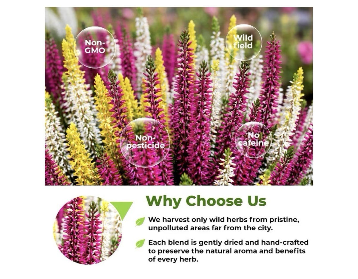 Wildfield Herbs Dried Heather Flowers Leaf Herb Tea Calluna vulgaris Brecina 4oz