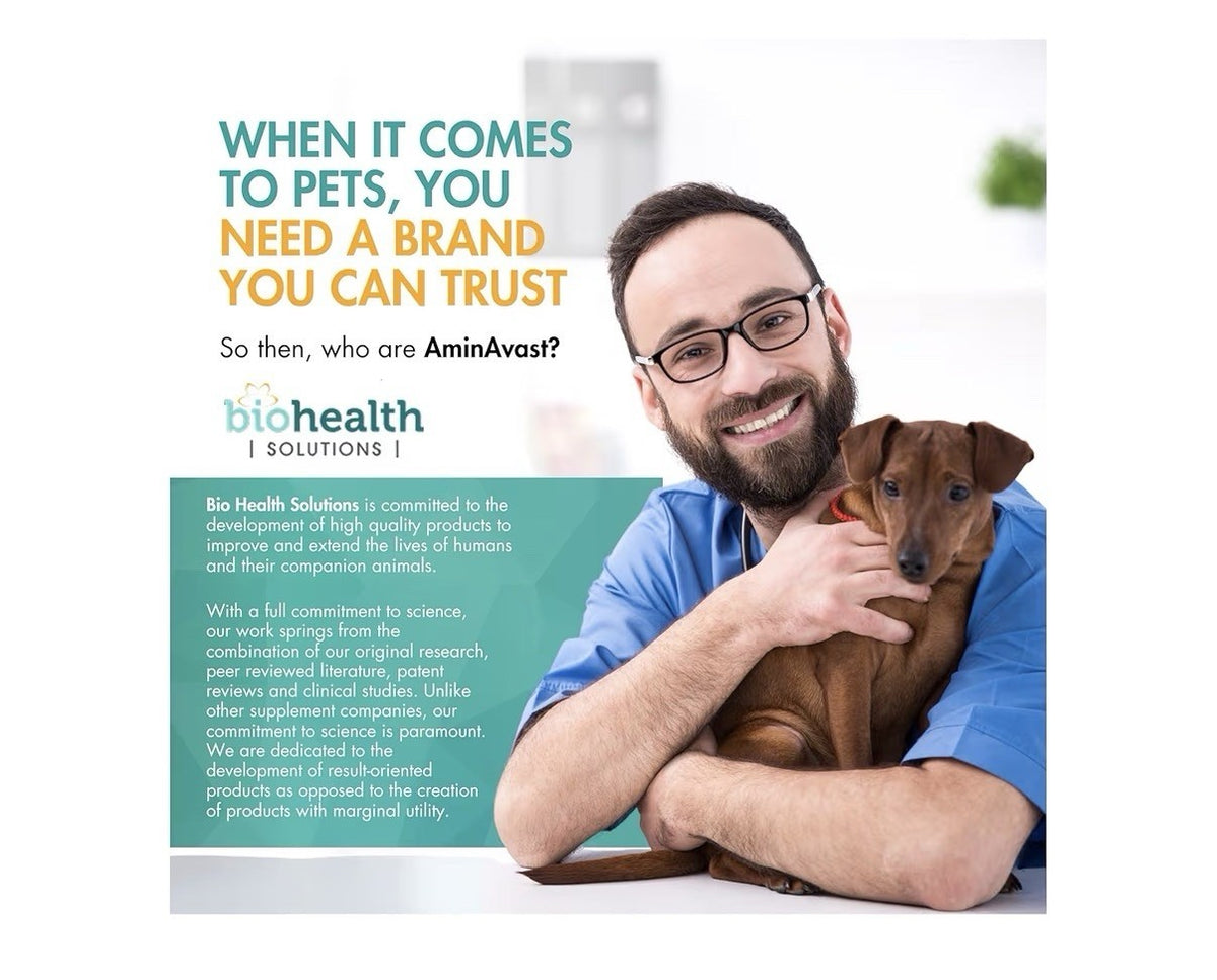 AminAvast Chews Kidney Support For Large Dogs Kidney Function 1000mg 60 Chews