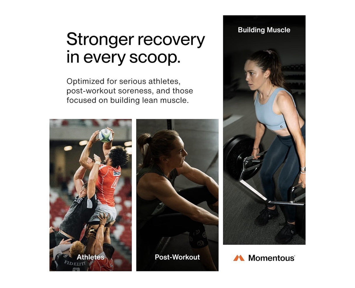 Momentous Recovery Post Workout Chocolate Flavor Powder 1.43 lb