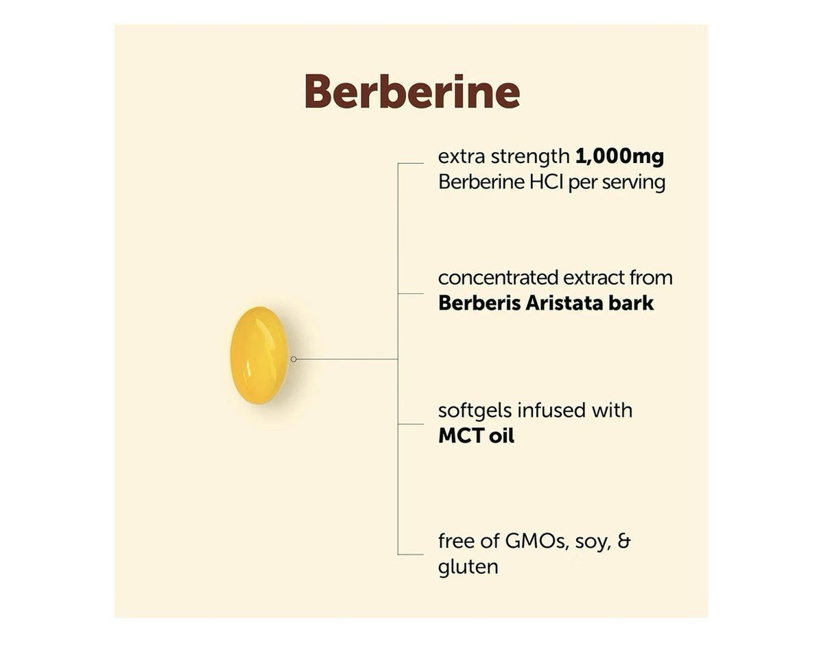 Micro Ingredients Berberine 1000mg with Mct Oil High Bioavailable 240 Softgels