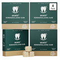 Remineralizing Gum with Xylitol Hydroxyapatite Natural Mastic Mint 72 Gum Pieces