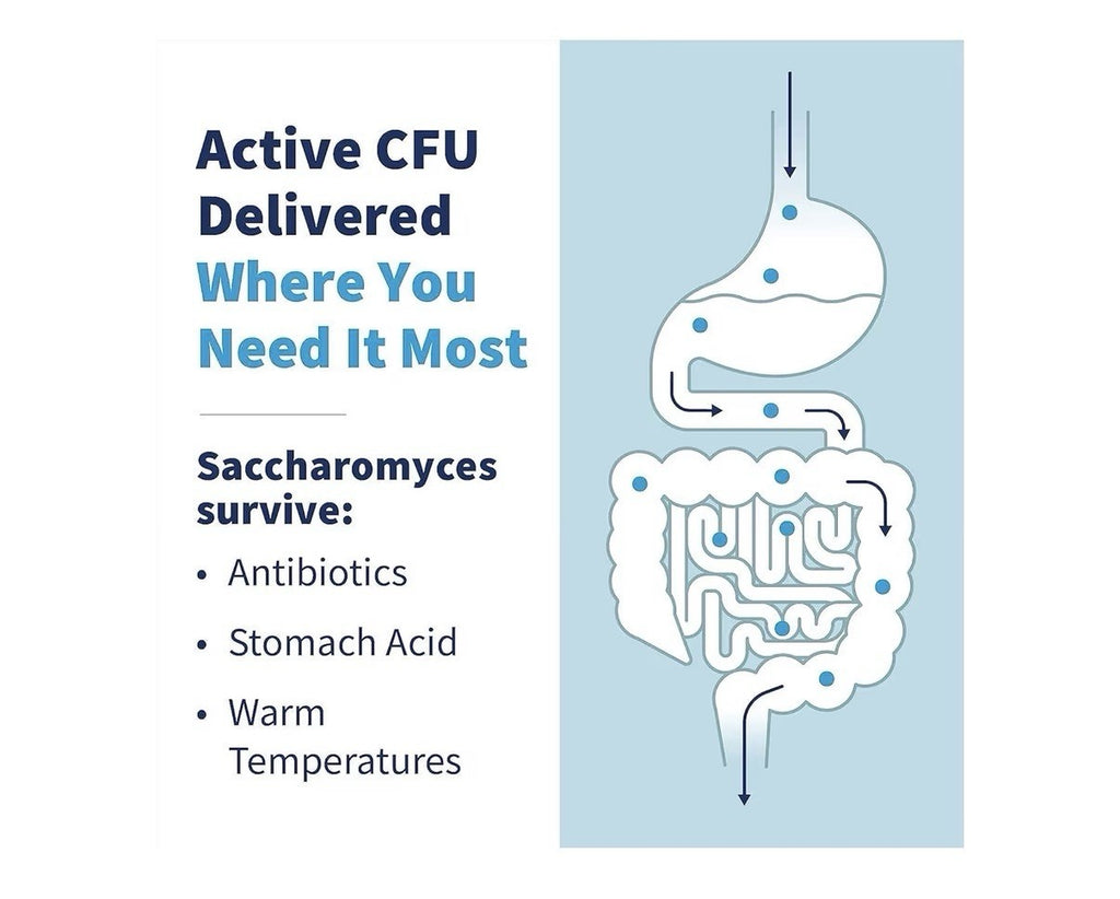 SFI Health THER-BIOTIC Saccharomyces Boulardii Probiotic Yeast Formula 60Capsule