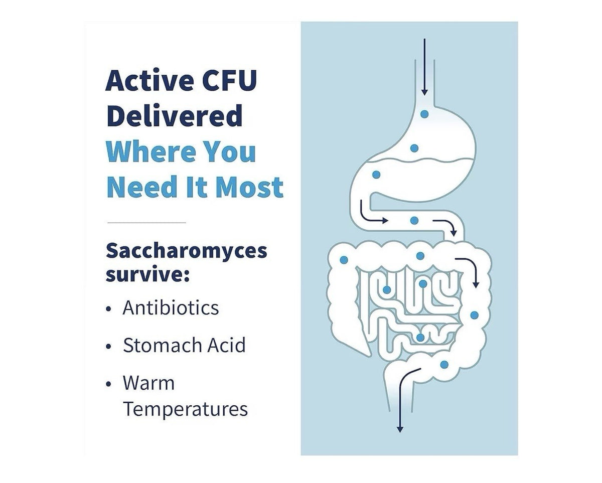SFI Health THER-BIOTIC Saccharomyces Boulardii Probiotic Yeast Formula 60Capsule