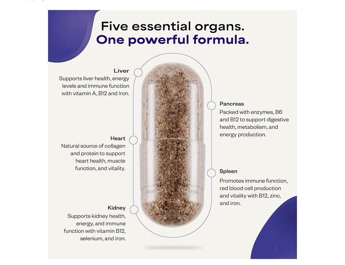 Suppgrade Labs Organs 101 Daily Vital Nutrient Support Grass-Fed Beef 180capsule