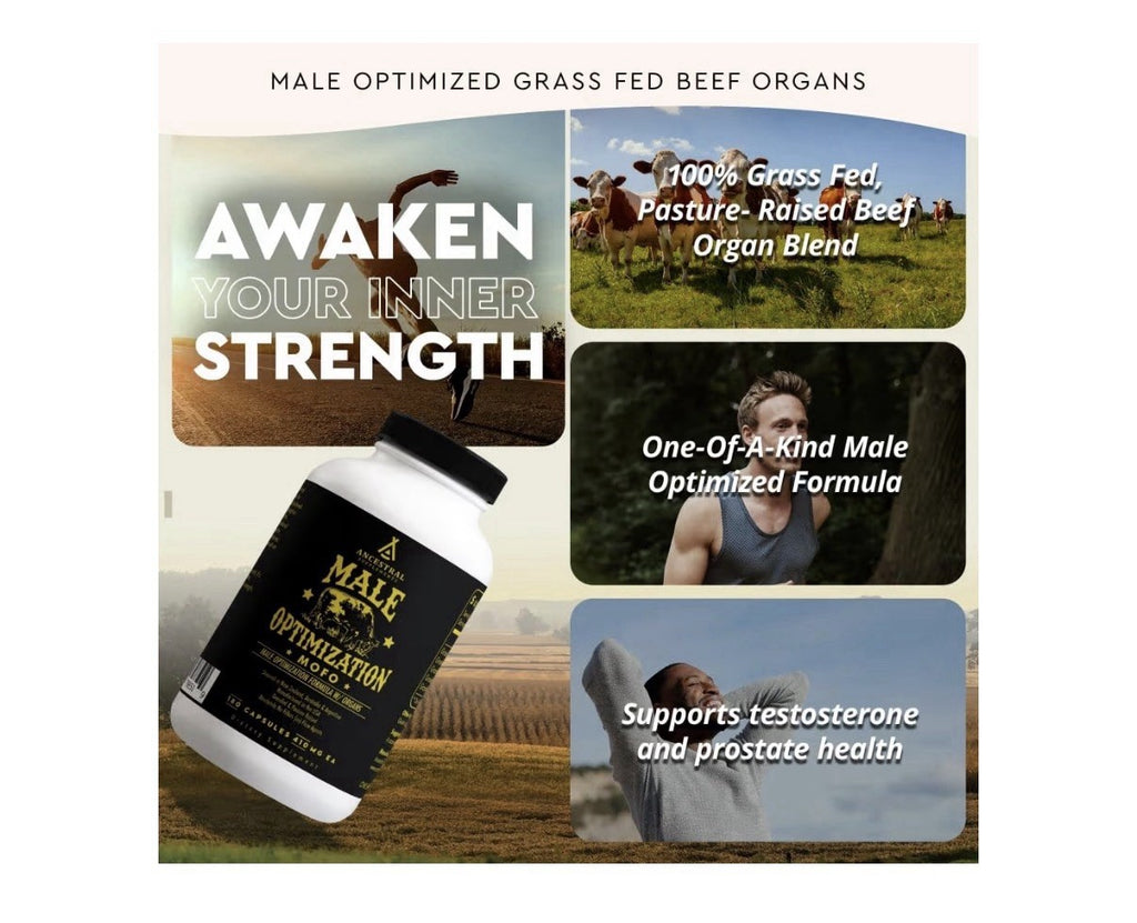 Ancestral Supplements Male Optimization Mofo Support Energy Men’s Health 180caps