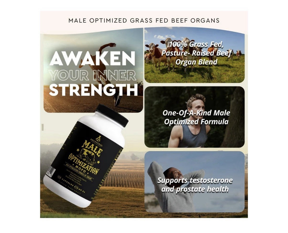 Ancestral Supplements Male Optimization Mofo Support Energy Men’s Health 180caps
