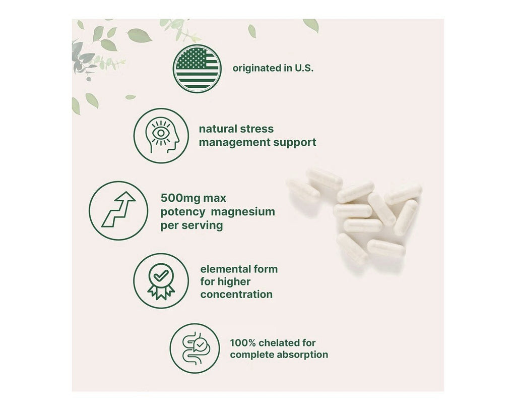 Micro Ingredients Magnesium Glycinate 500mg Per Serving 240 Capsules