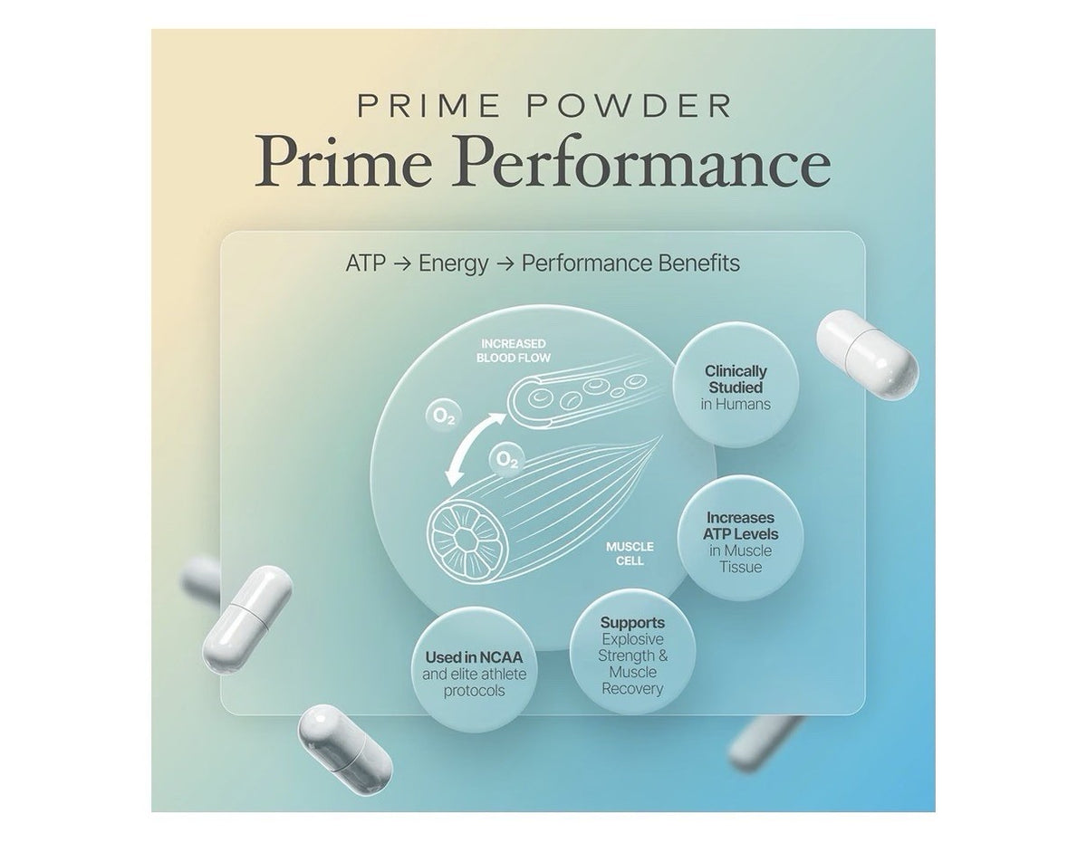 Prime Powders ATP Adenosine Triphosphate Disodium Boost Energy Endurance Stamina