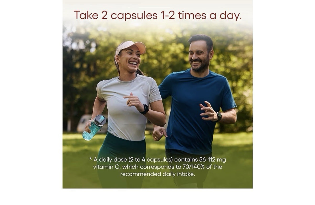 EcoNugenics Padma Active Antioxidant Immune Cardiovascular Energy Vitality 100c