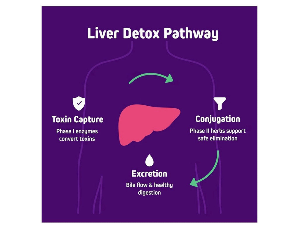 2 Pack Herbtonics Liver Tonic Liver Support Cleanse Detox Repair 4 Month Supply