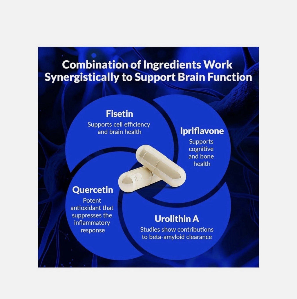 CogniSHIELD Brain Health Supplement Designed To Support Brain Health 3 Pack
