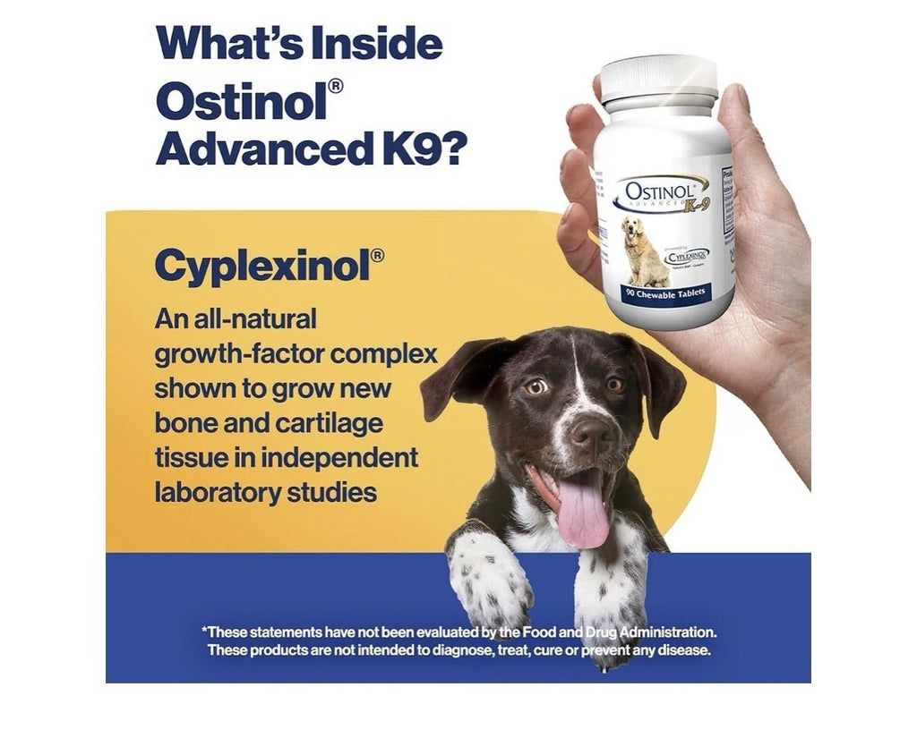 Ostinol Advanced K-9 For Dongs Joint Supplement 90 Chewable Tablets
