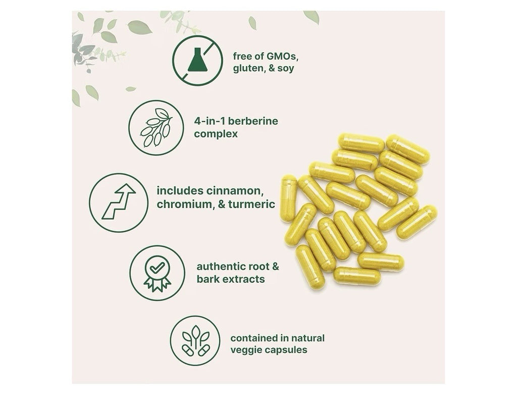 Micro Ingredients Berberine Ceylon Cinnamon Chromium Turmeric 240 Veggie Capsule