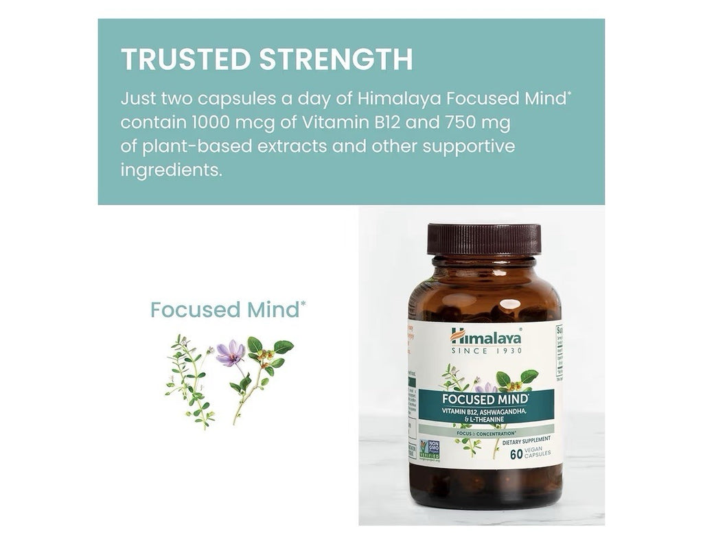 Himalaya Focused Mind Supplement Focus & Concentration Energy Support 60Capsules