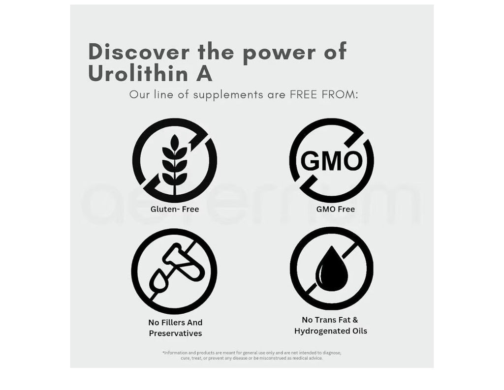 aeternum Urolithin A 30g Powder