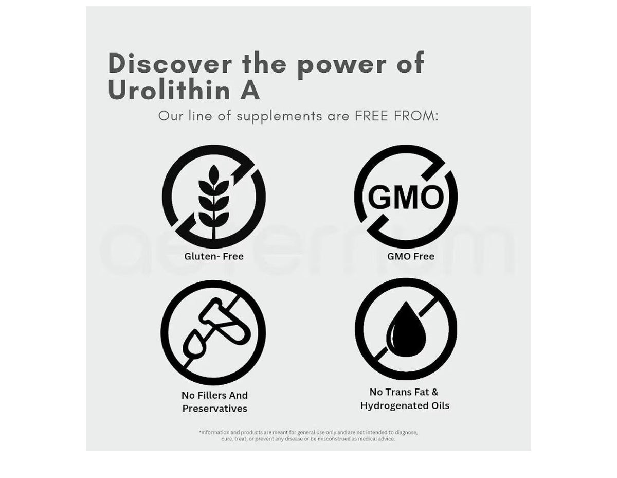 aeternum Urolithin A 30g Powder
