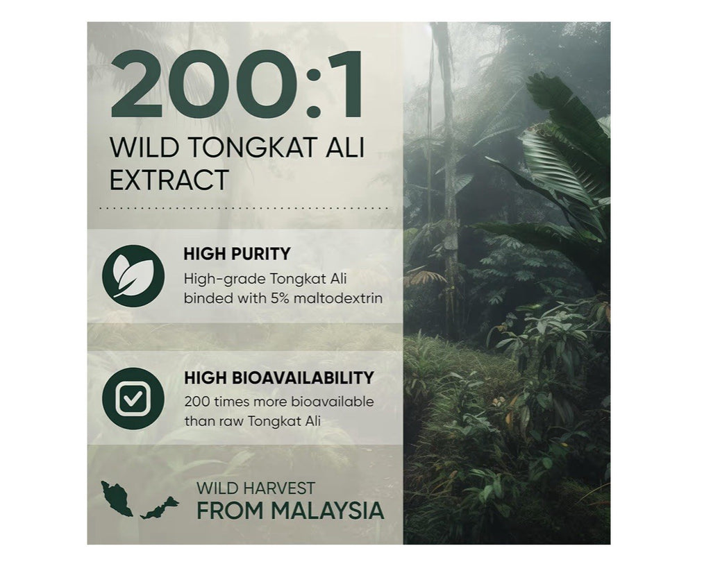 Jungle Powders TongkatAli for Men Powder 200:1 Extract Pure Longjack 282 Serving