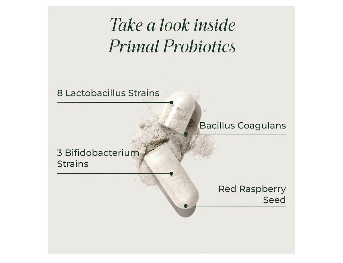 Primal Harvest Primal Probiotics Prebiotics Women Men Daily Supplement 30capsule