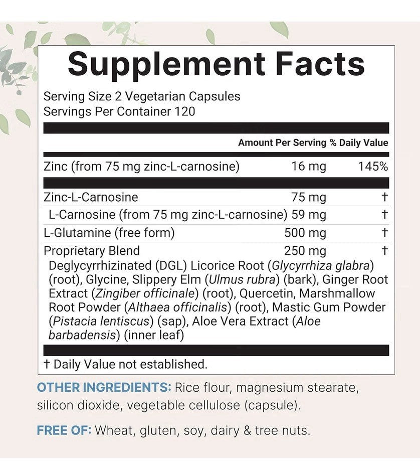 Micro Ingredients Zinc Carnosine 10-in-1 Complex 240 Vegetarian Capsules