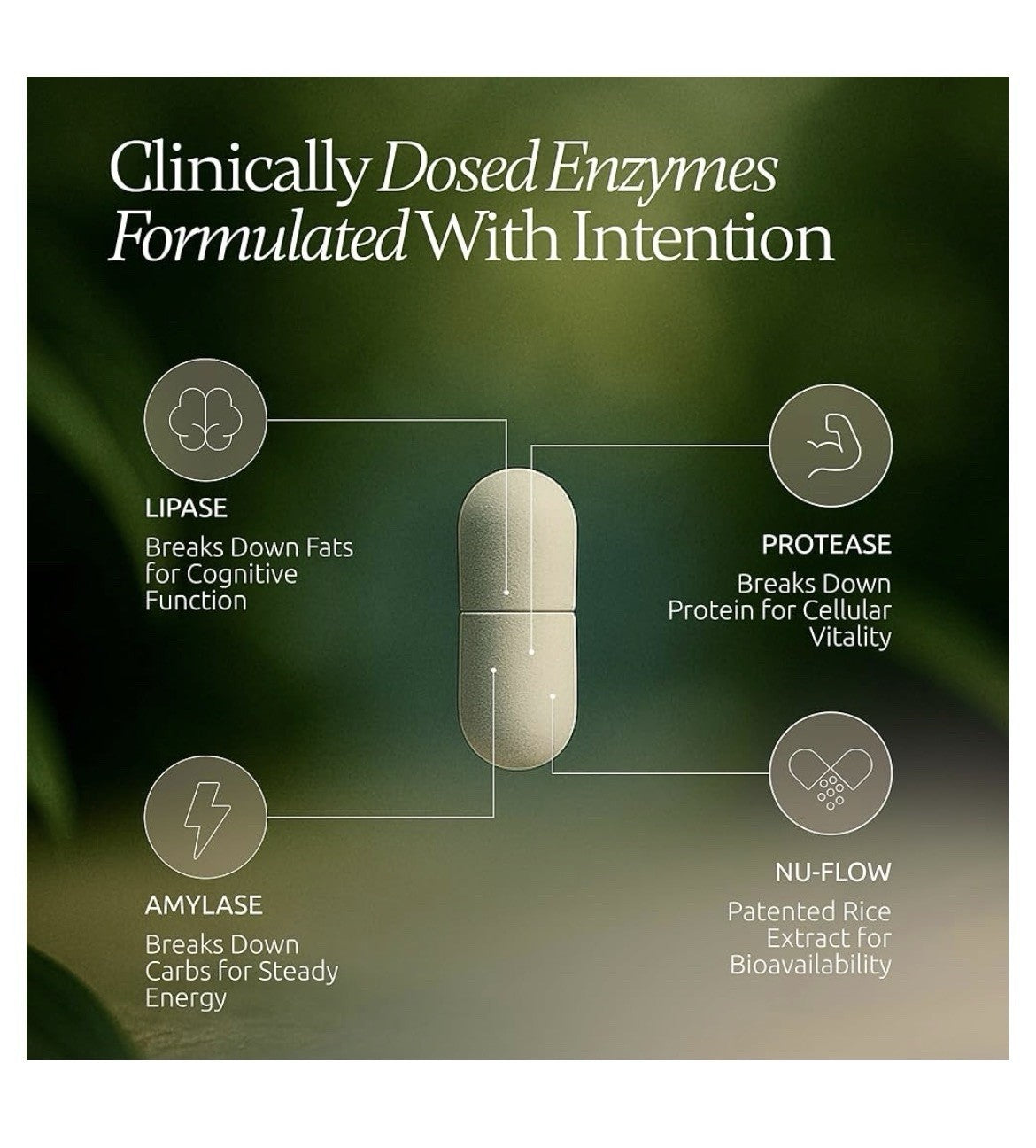 Boulder Bio Digestive Enzyme Fermented Gut Health Therapeutic Strength 90capsule