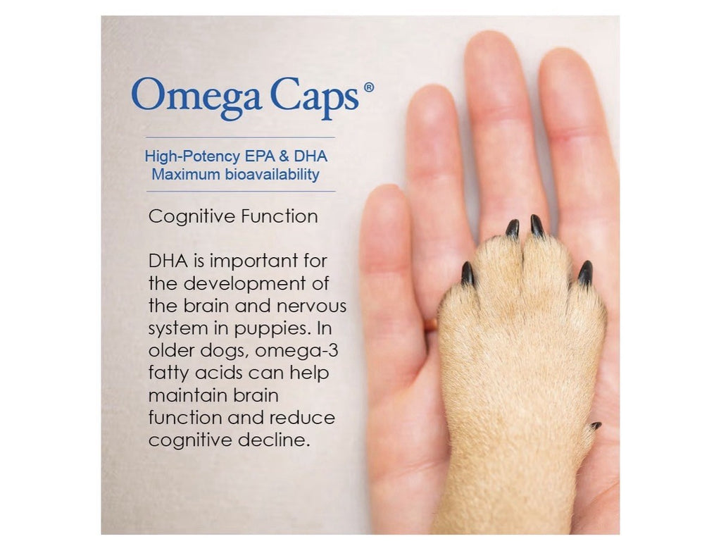 Omega Caps HP Snip Tips for Cats and Small Dogs Breeds High Potency 60 Capsules