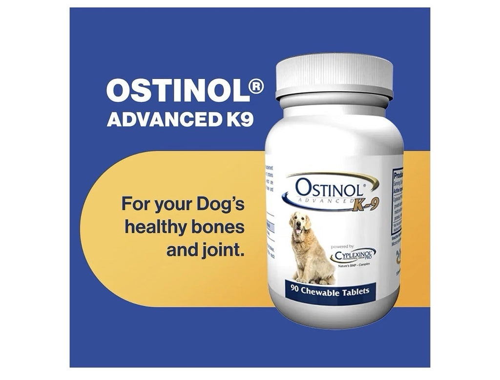 Ostinol Advanced K-9 For Dongs Joint Supplement 90 Chewable Tablets