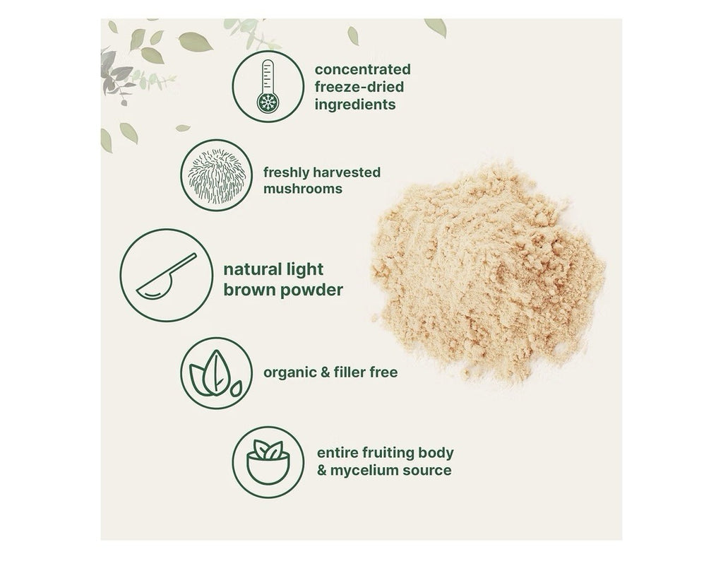 Micro Ingredients Organic Lion’s Mane Mushroom Powder Brain Energy Support 8 oz