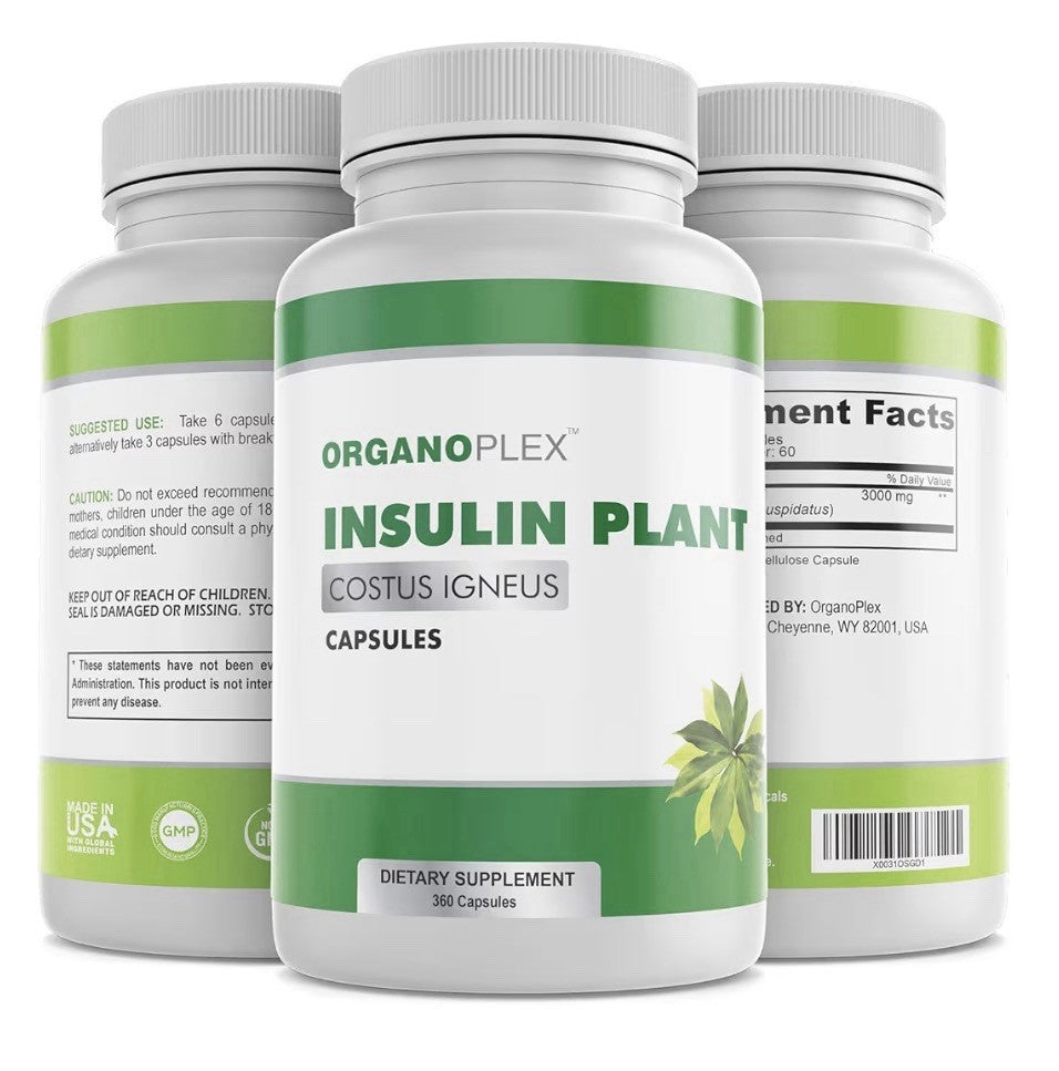 ORGANOPLEX Insulin Plant Capsules (Costus Igneus) 100% Natural Supplement 360Cap