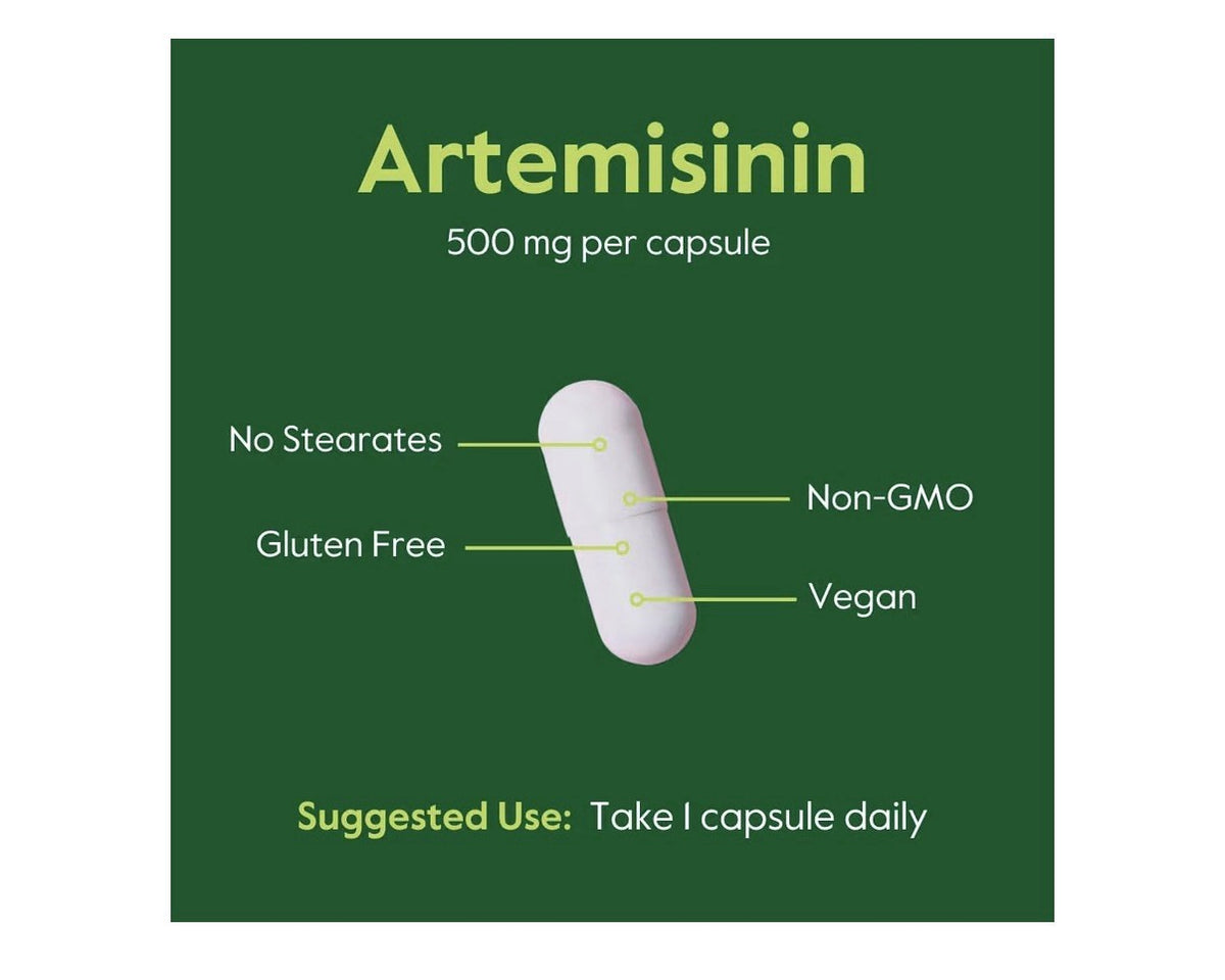 BESTVITE Artemisinin Pure 500 mg Per Capsule 2 Pack 60 Vegetarian Capsules Each