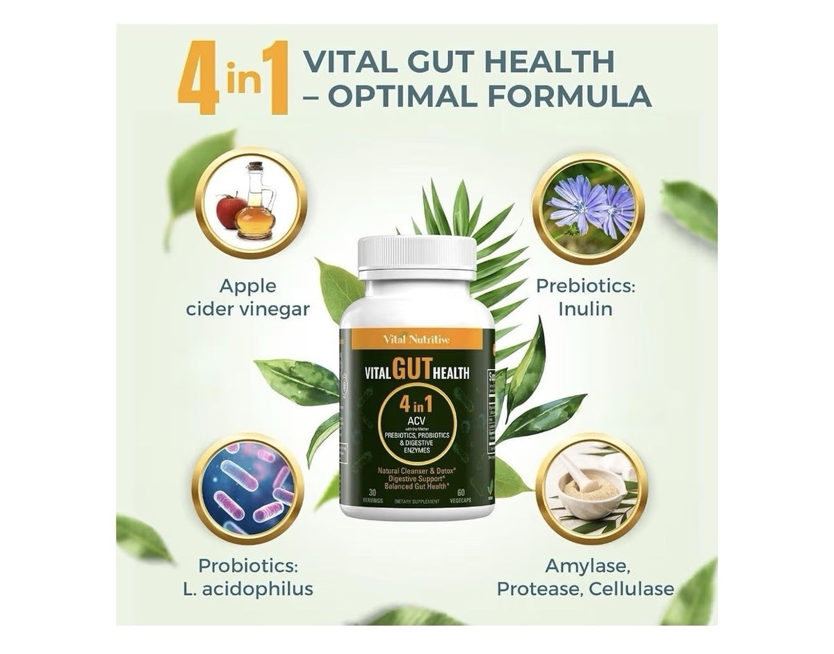 2 Pack Vital Nutritive Vital Gut Health 4inl with Apple Cider Vinegar Prebiotics