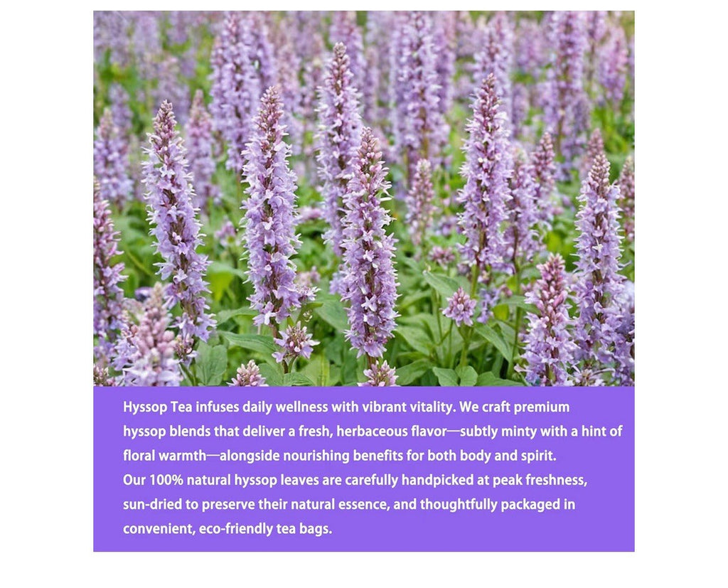 Hyssop Tea Herbal Hyssop Support Digestive promote Relaxation 40 Tea bags