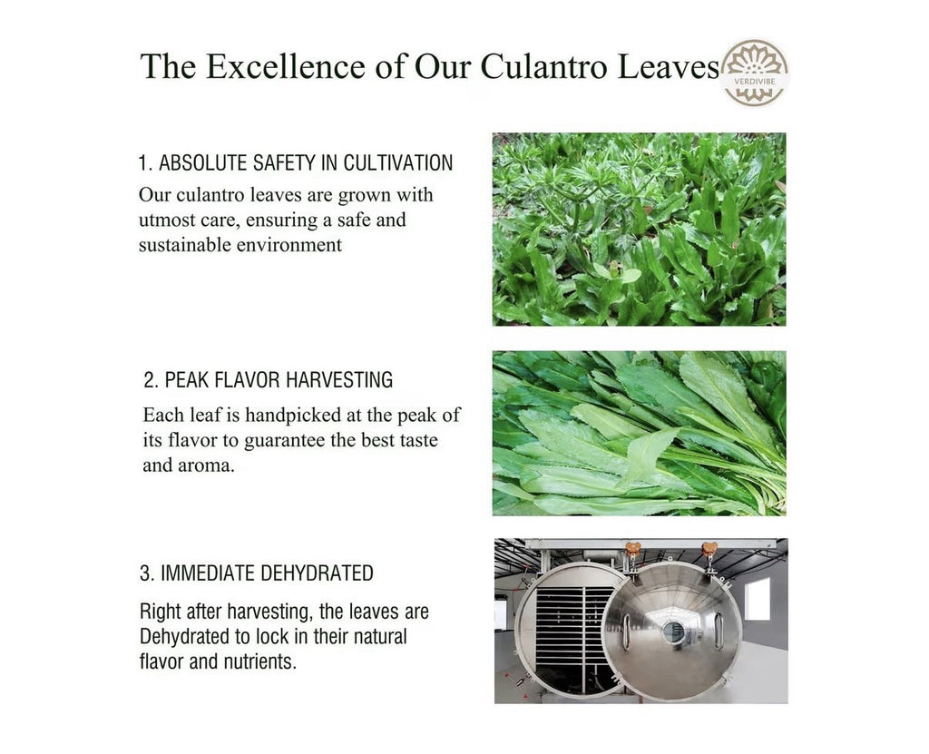 Verdivibe Premium Dried Culantro Leaves Pack for Authentic Asian Flavor 1oz