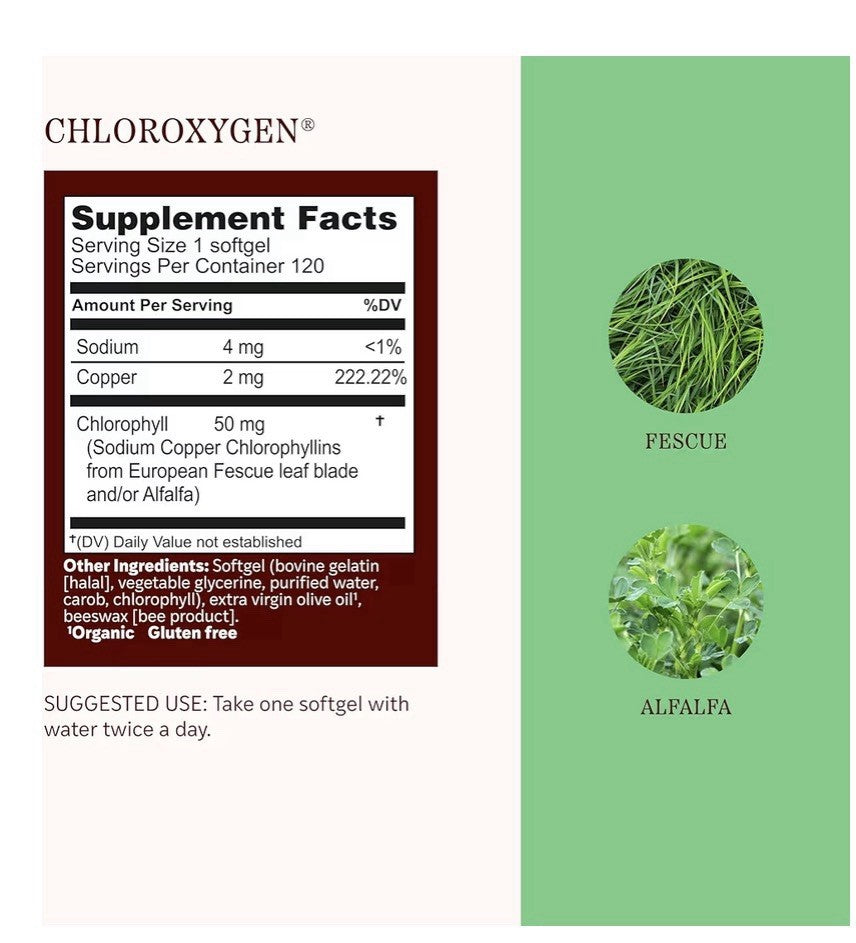 Herbs Etc. ChlorOxygen Blood & Energy Support Chlorophyll Concentrate 120softgel