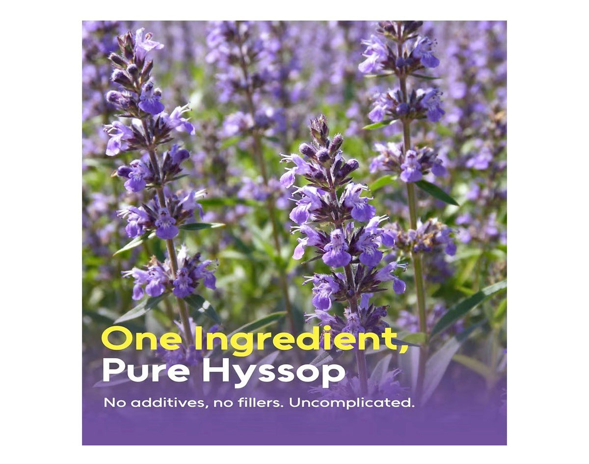 FullChea Hyssop Tea Bags Herbal Caffeine-Free Support Digestion 50 Tea Bags