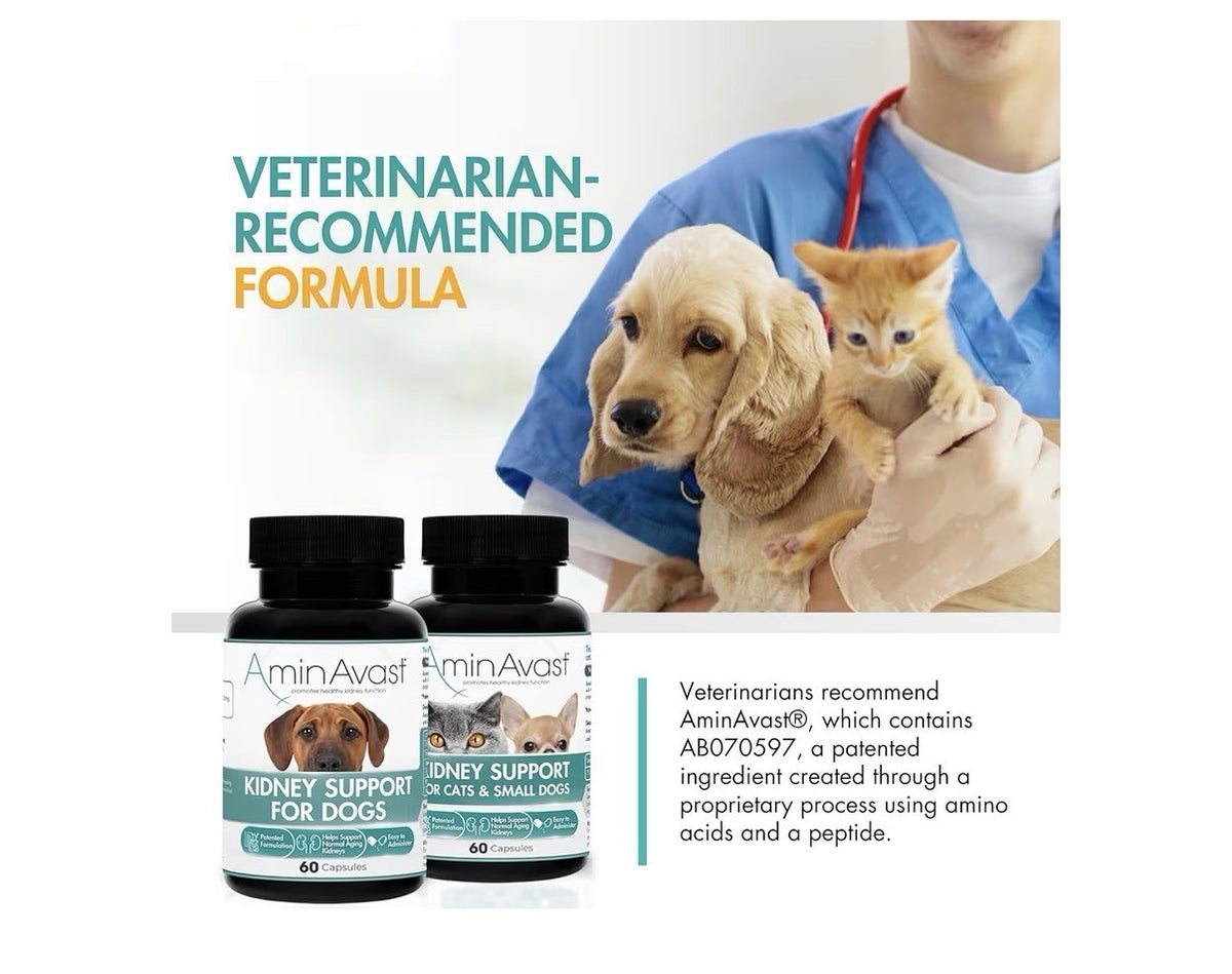 AminAvast Kidney Support For Cats And Small Dogs Kidney Function 300mg 60capsule