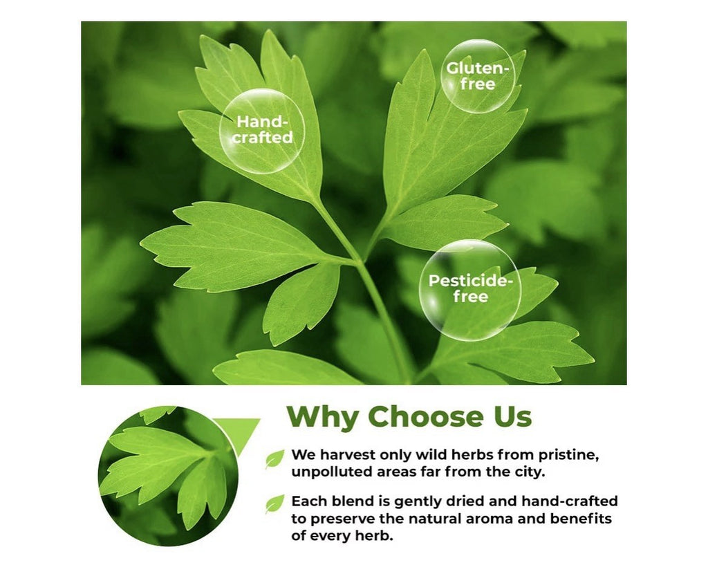 Wildfield Lovage Leaves Dried Herbal Tea Levisticum Officinale Levísticum 4Oz
