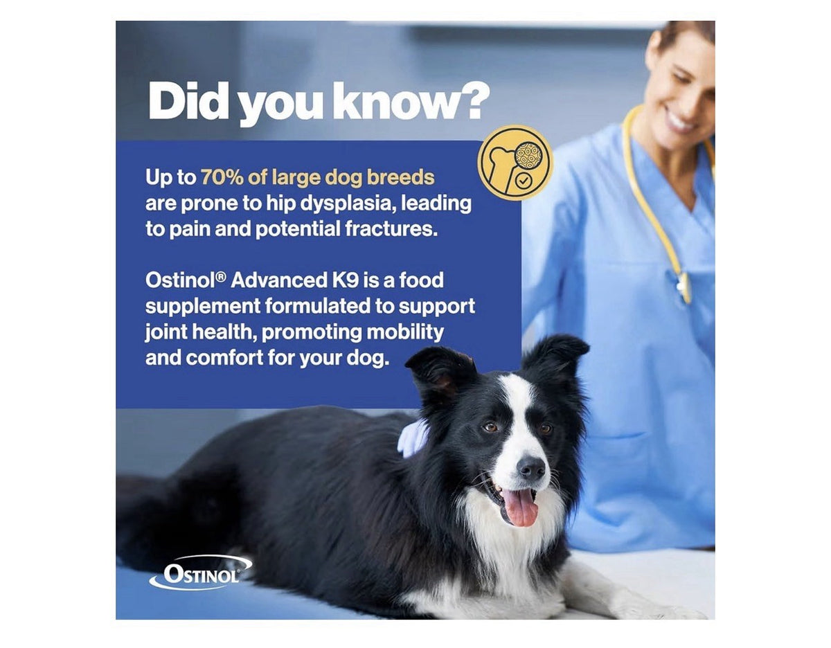 Ostinol Advanced K-9 For Dongs Joint Supplement 90 Chewable Tablets