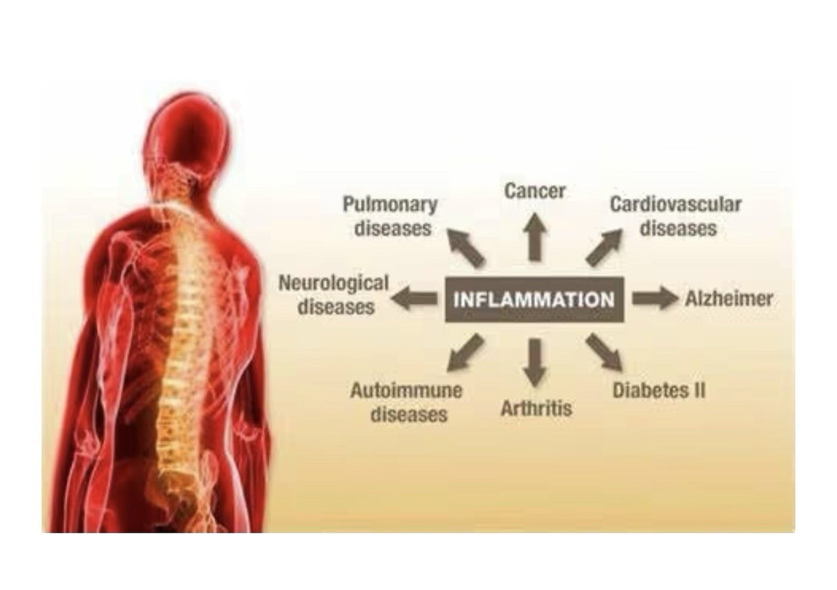 Flamasil Nature’s Joint Celluar Health Support Healthy Inflammation Response 90c