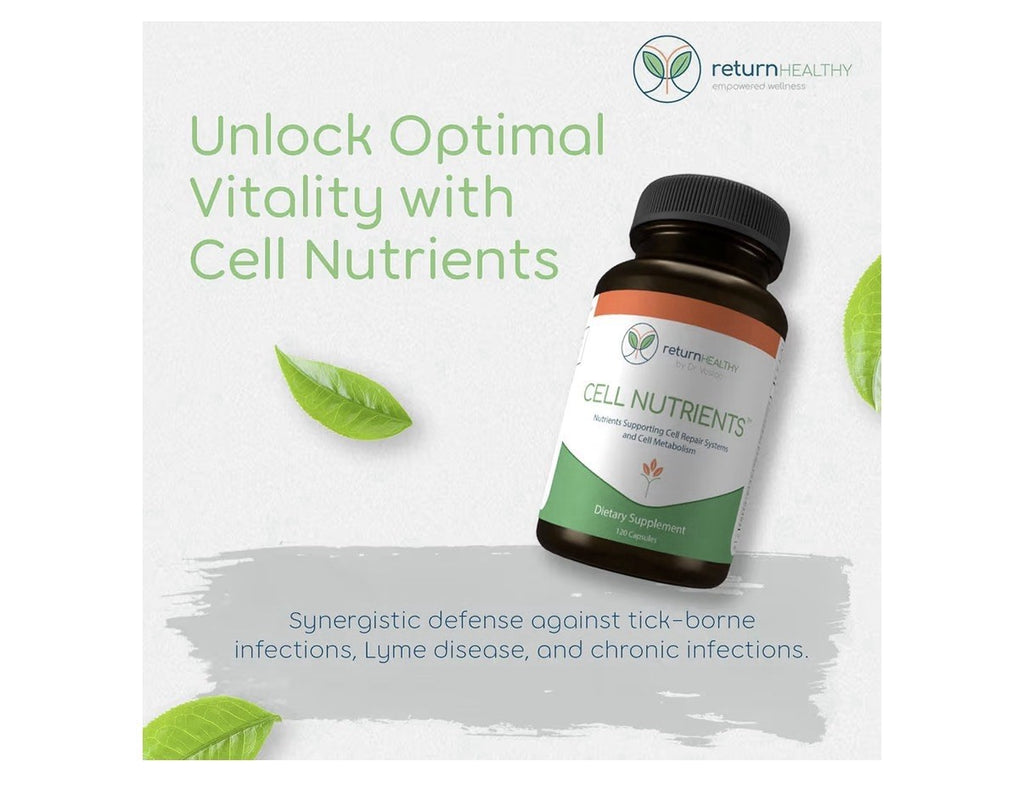 Return Healthy Cell Nutrients Support Cell Repair Systems, Cell Metabolism 120ca