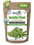 Naturfi Organic Insulin Plant Leaf Powder (Costus Igneus) 100% Natural 100 Grams