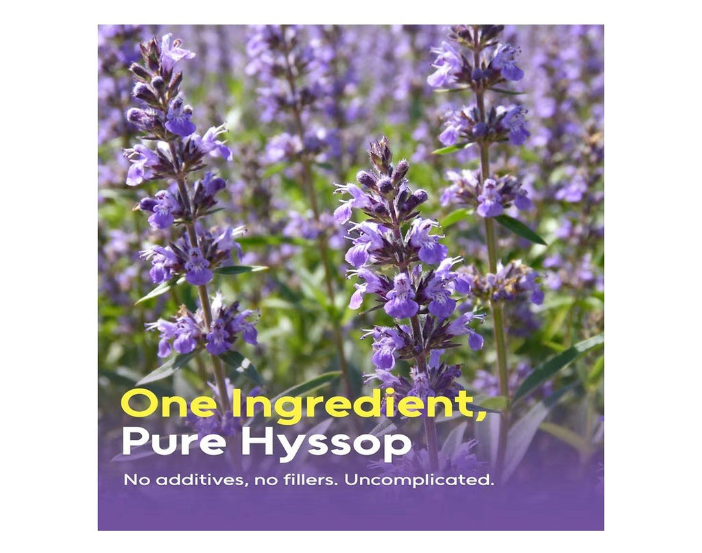 FullChea Hyssop Tea Bags Herbal Caffeine-Free Support Digestion 50 Tea Bags