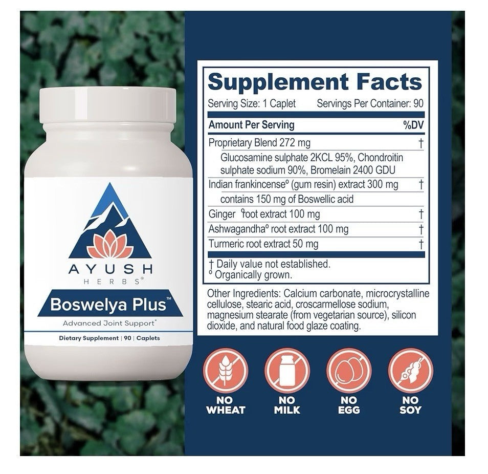 Ayush Herbs Boswelya Plus Advances Joint Support Glucosamine Chondroitin 90 Caps