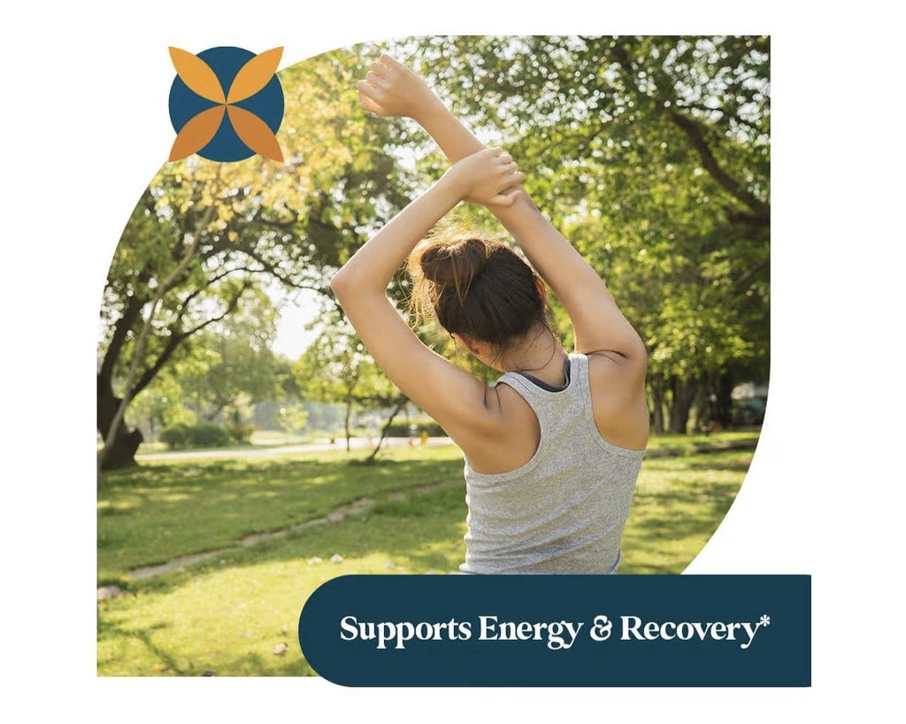 Pattern Wellness Ashwagandha Complex Stress & Mood Support for Men & Women 60cap